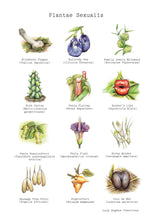 Load image into Gallery viewer, 'Plantae Sexualis' Print Lucy Hughes Creations