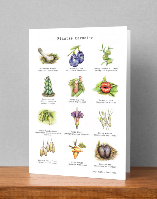 Plantae Sexualis Card (Large / A5) Greeting & Note Cards Lucy Hughes Creations 