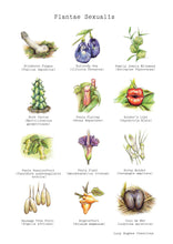 Load image into Gallery viewer, &#39;Plantae Sexualis&#39; Print Lucy Hughes Creations 
