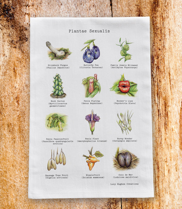 Plantae Sexualis Tea Towel - PRE ORDER for delivery end of March tea towel Lucy Hughes Creations 